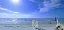 People walking along a sunny beach with a clear blue sky.